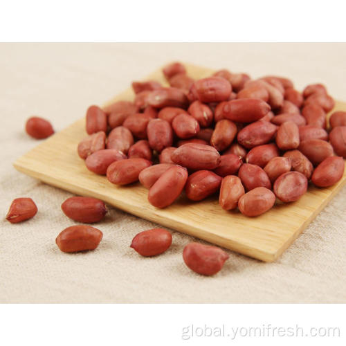 Organic Peanut Groundnut For Sale Factory